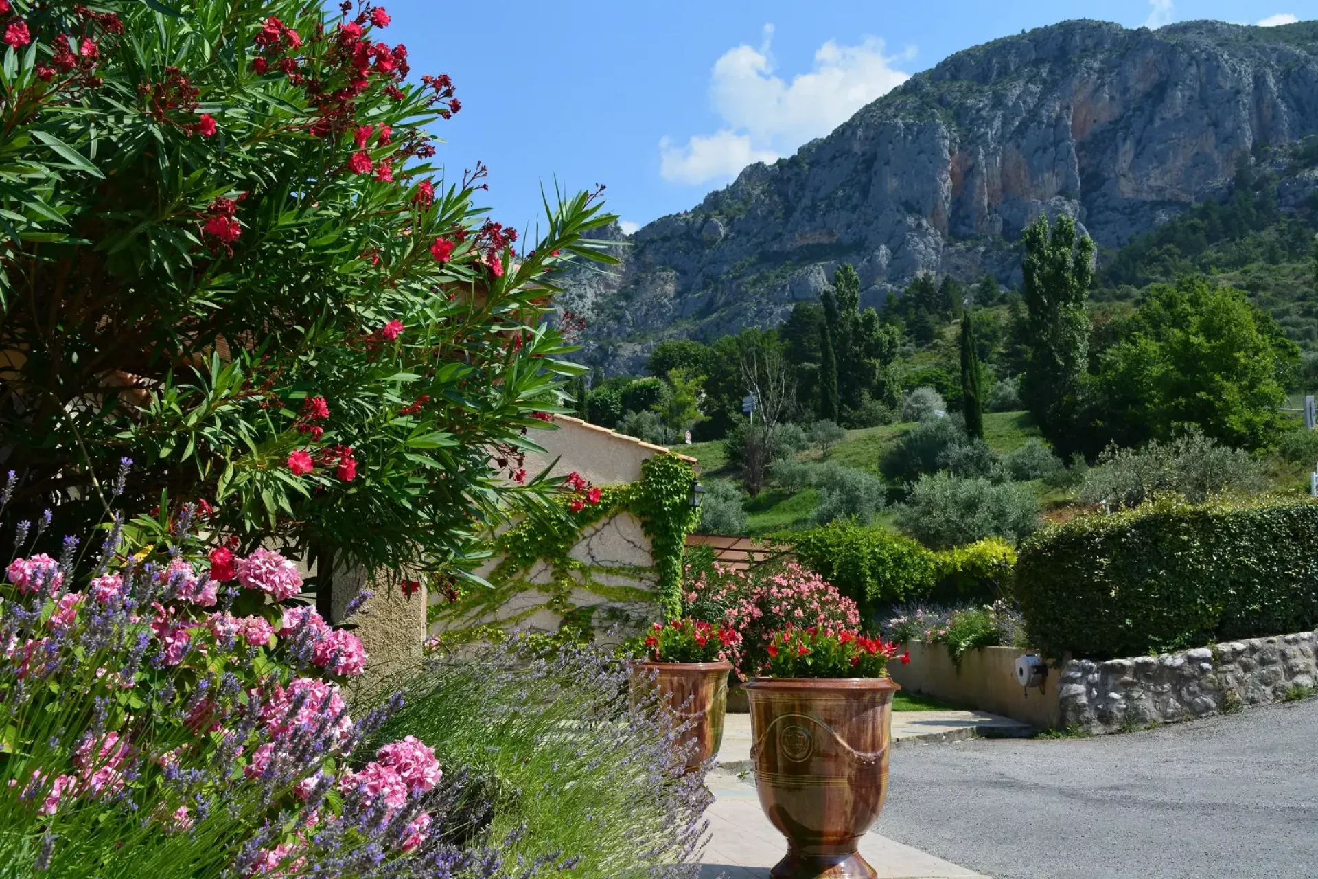 Façade en pierre d'une bastide provençale recouverte de lierre, entourée de buissons de lauriers-roses, de lavande et de grands pots en terre cuite, avec une haute falaise calcaire en arrière-plan sous un ciel bleu.
