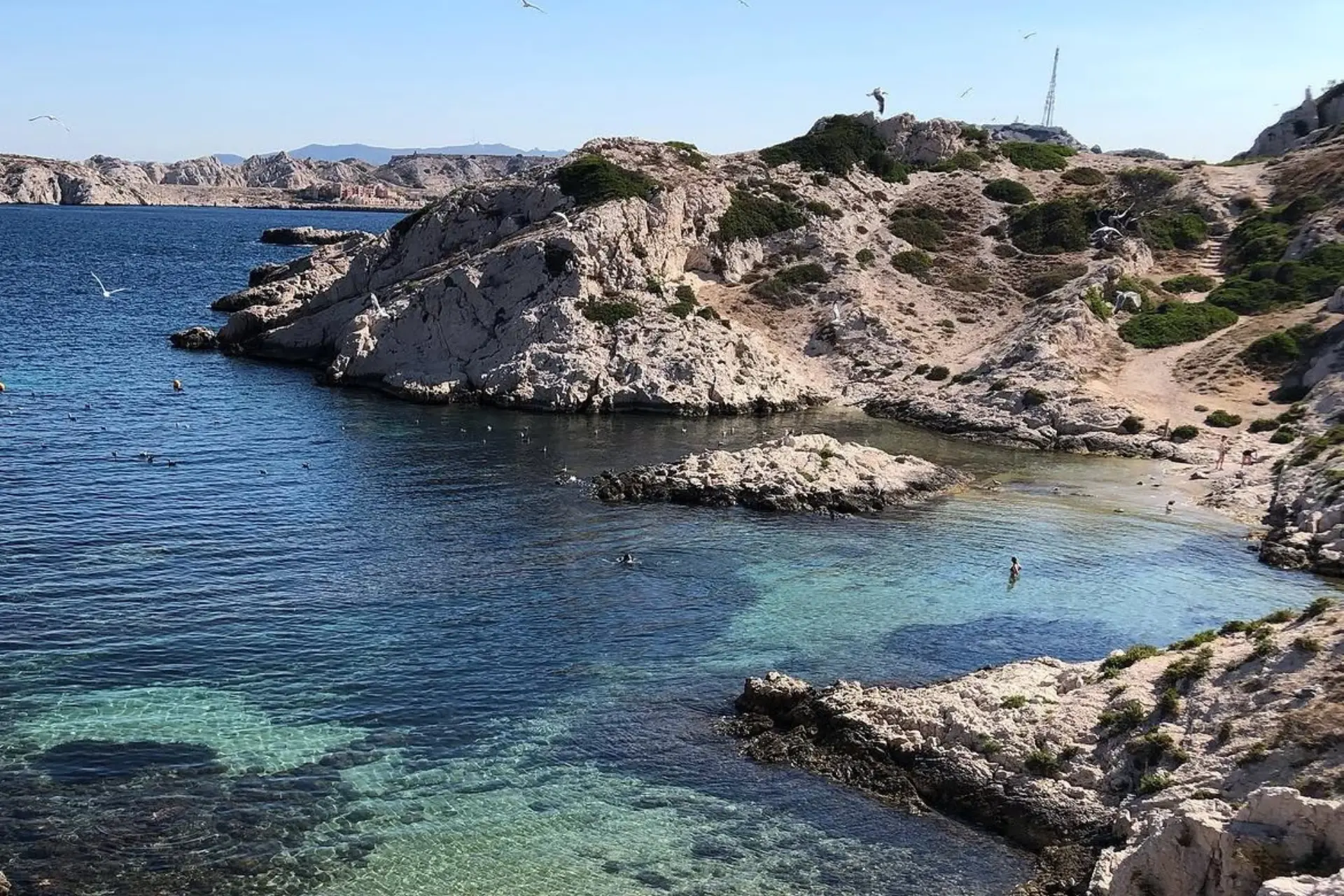 Bain de mer dans les eaux turquoise de la Calanque de la Crine au Frioul