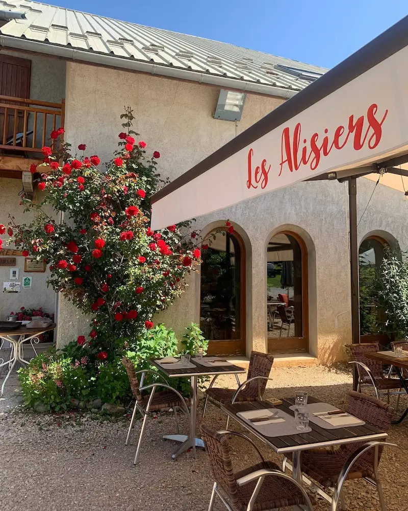 Terrasse du restaurant Les Alisiers à Montclar bordée de rosiers en fleurs